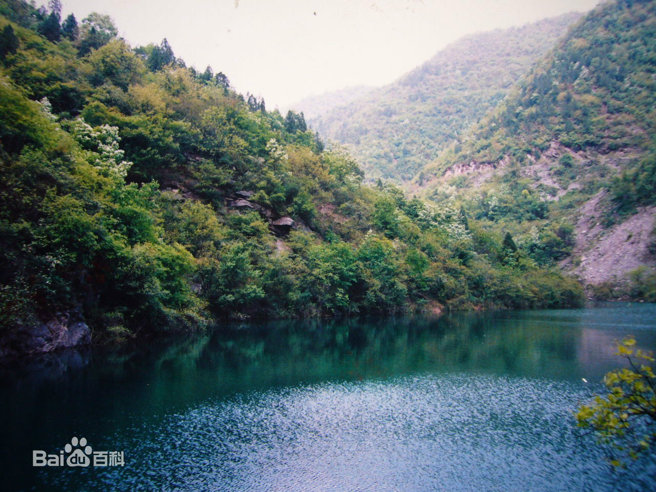 杏花山(山東省蒼山縣)