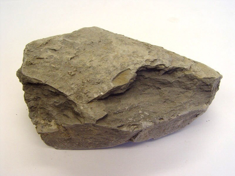 矽質頁岩