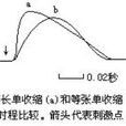 單收縮