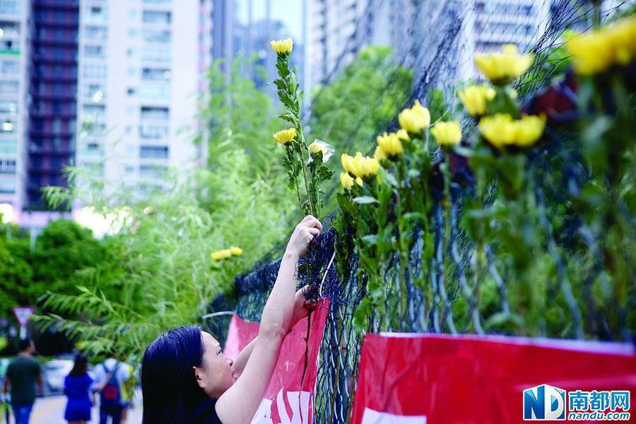 深圳展鵬蓮花山足球場