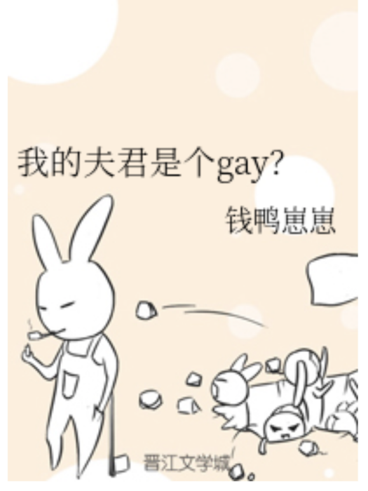 我的夫君是個gay?