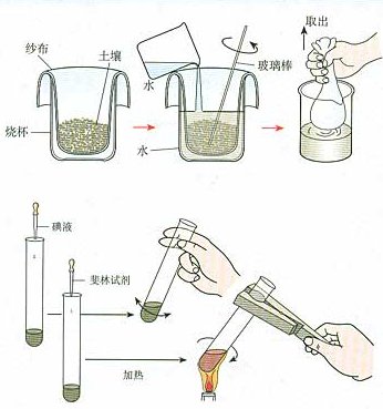 加水分解