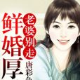 鮮婚厚愛，老婆別走