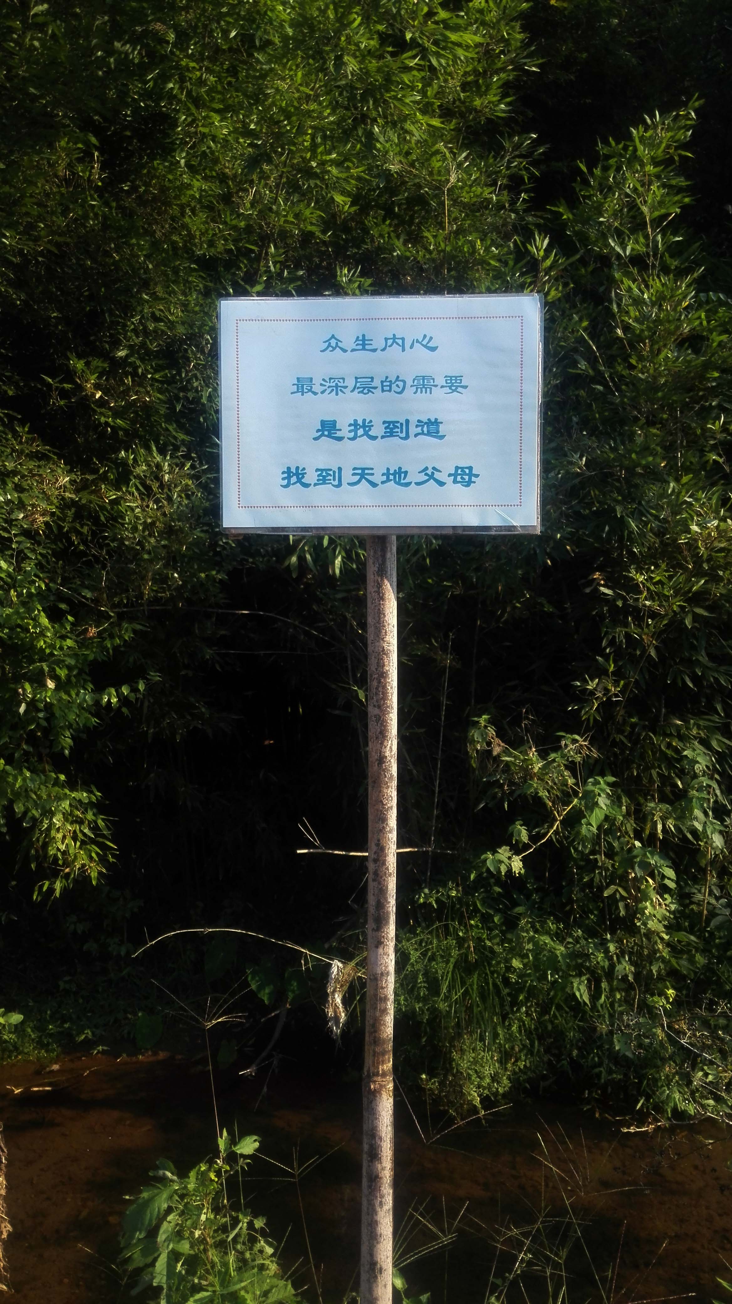 千島湖自然農法生態村