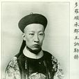 大清宗室郡王(多羅郡王)