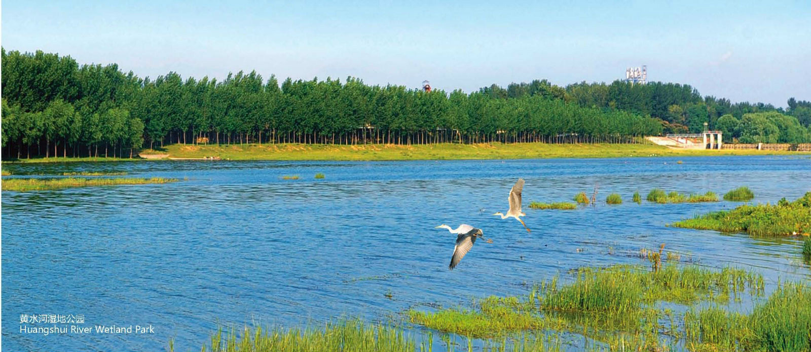 黃水河濕地公園