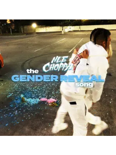 The Gender Reveal Song