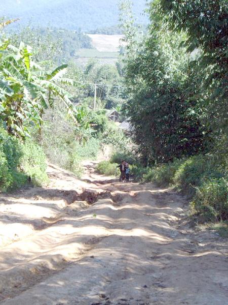 大海子自然村的進村道路