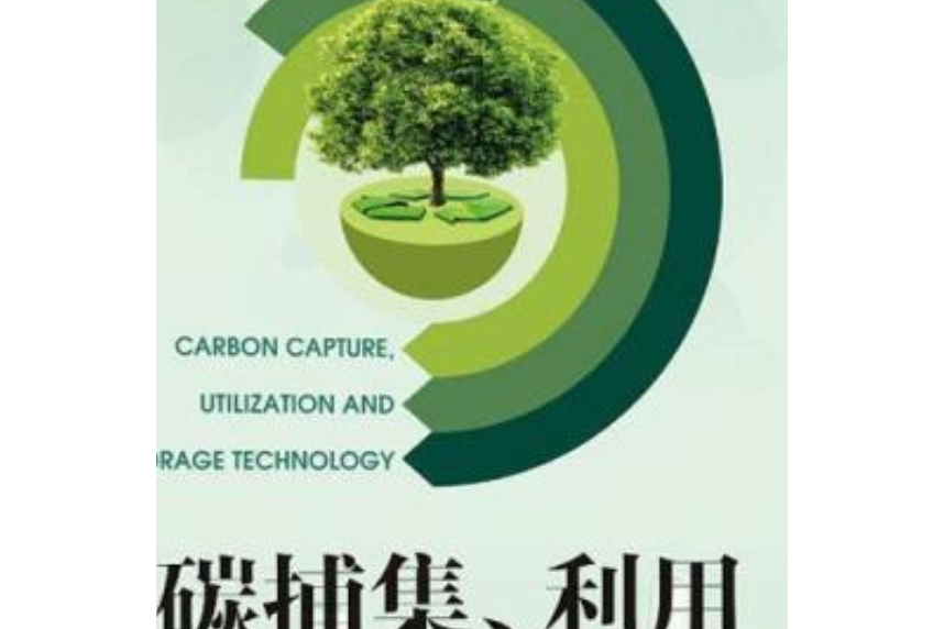 碳捕集、利用與封存技術(2020年中國石化出版社出版的圖書)