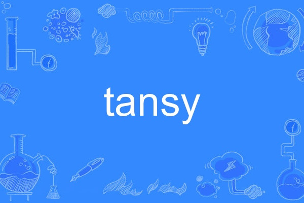 tansy