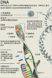 DNA