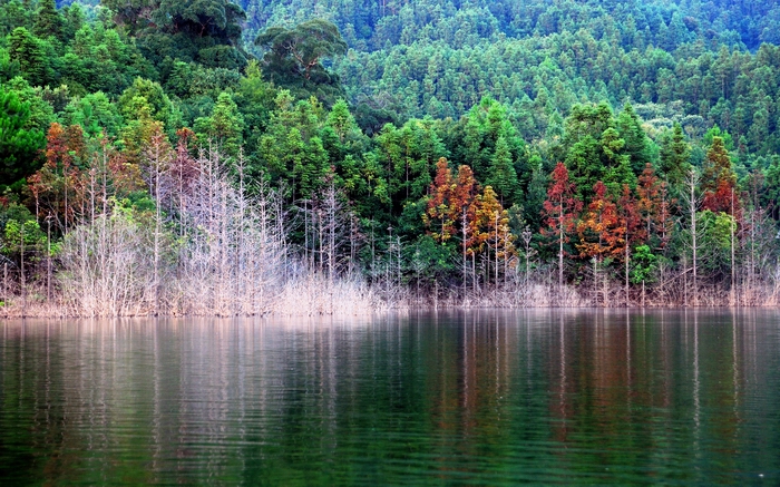 資溪九龍湖景區