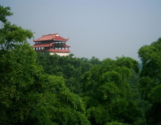 桃花江竹海風景區