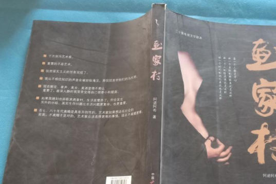 畫家村(2007年中國廣播電視出版社出版的圖書)