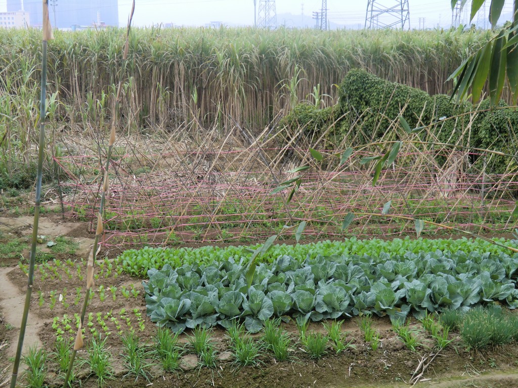 隴埔村