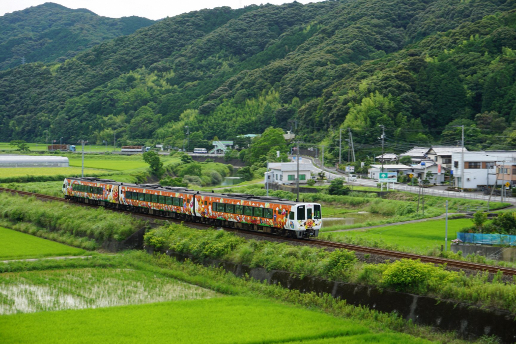 宿毛線