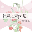 韓娛之宋pd尼