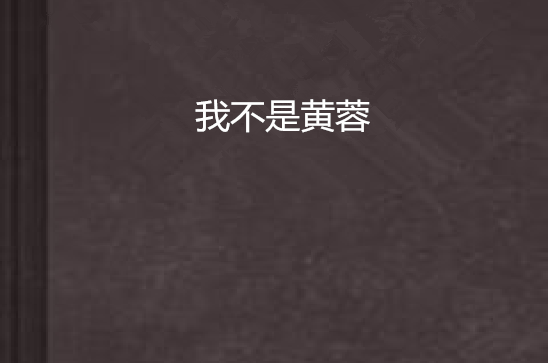 我不是黃蓉(網路小說)