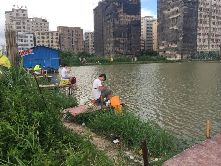 廈崗釣魚場場景圖