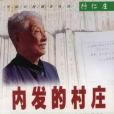 內發的村莊中國百村調查叢書