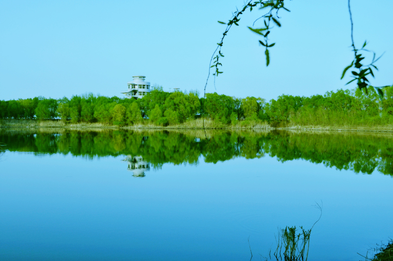 嫩江灣國家濕地公園