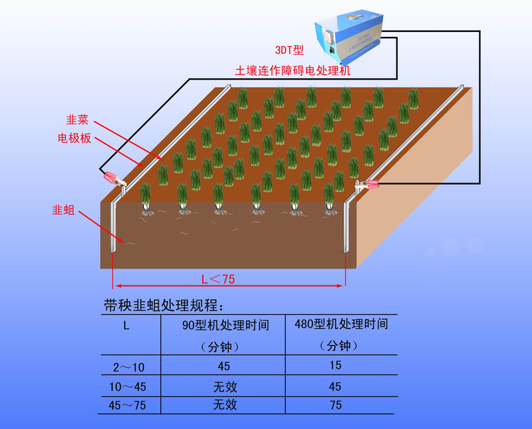 地下病蟲害的電消毒方法