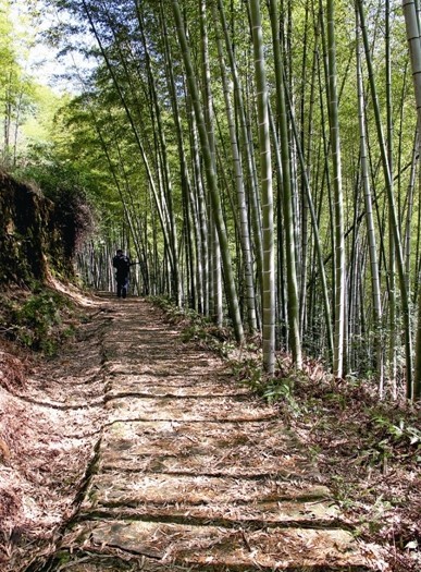 石榜山古道