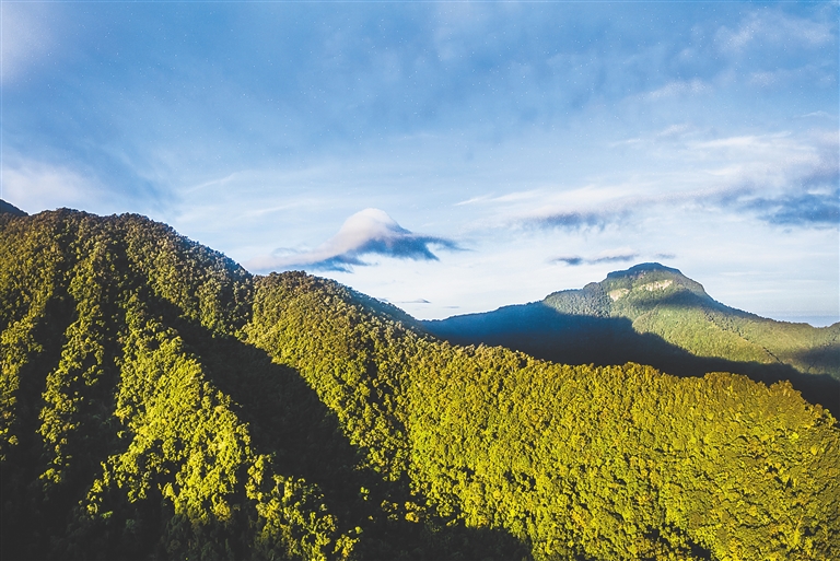 海南黎母山國家森林公園