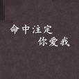 命中注定你愛我(網路小說)