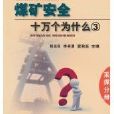 煤礦安全十萬個為什麼·採煤分冊