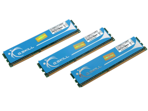 芝奇3GB DDR3 1333(F3-10666CL7T-3GBPK)