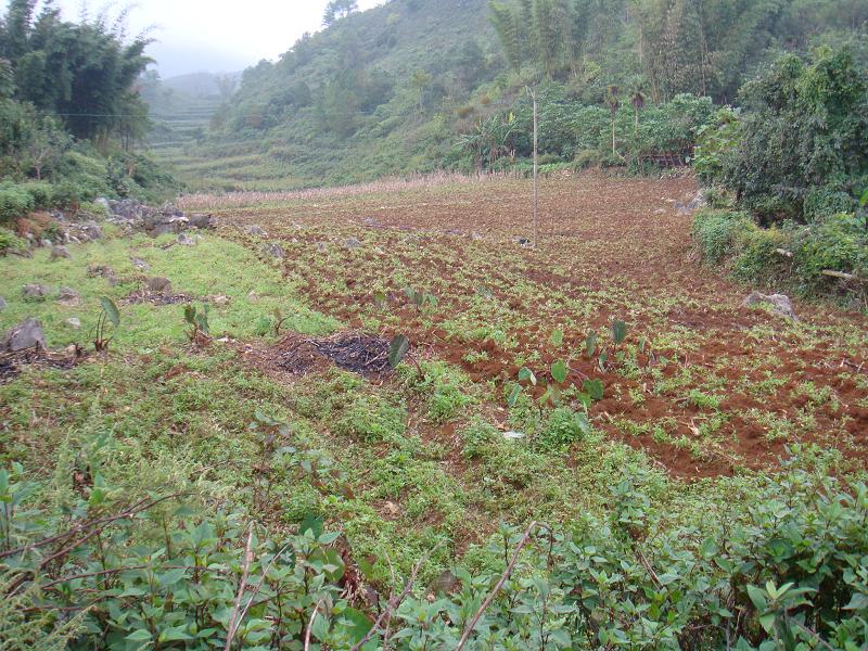 岩子頭自然村