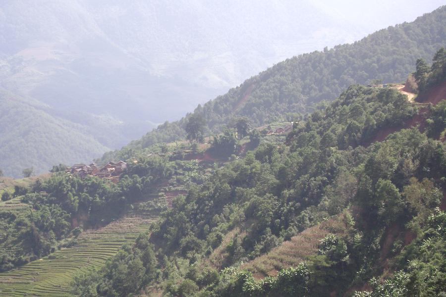 等簡村的經濟林地