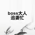 boss大人追妻忙