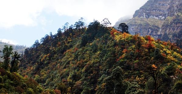 二郎山(四川省天全縣二郎山)