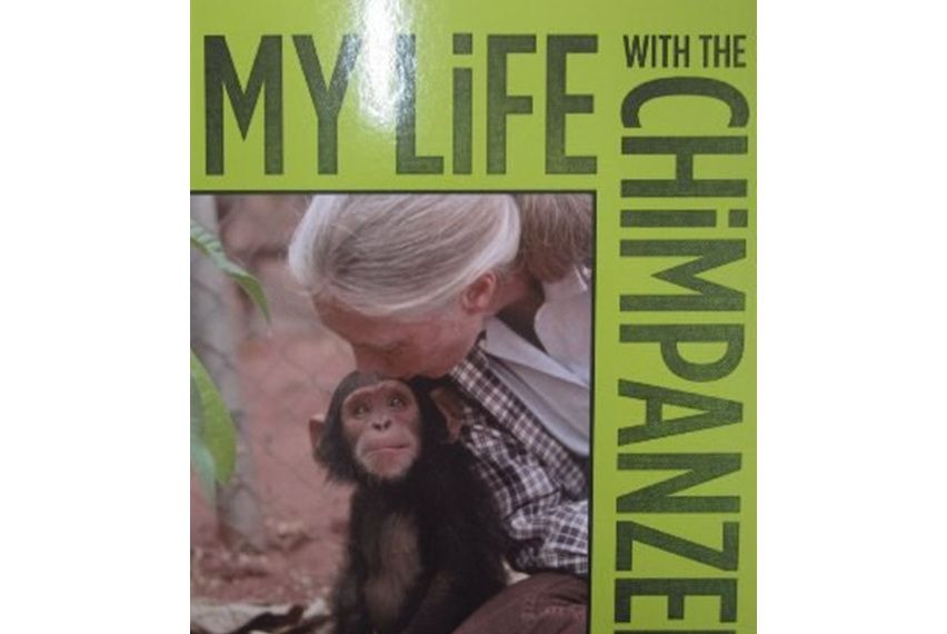 My Life with the Chimpanzees