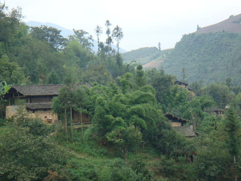 小秧田沖村