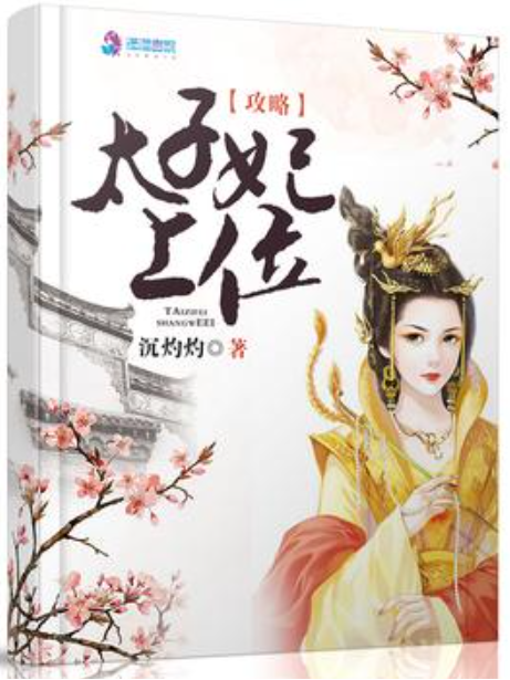 太子妃上位攻略(沉灼灼所著小說)