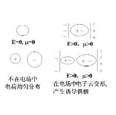 離子的變形性