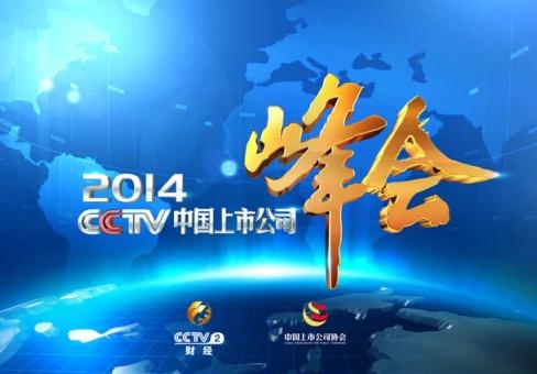 2014CCTV中國上市公司峰會