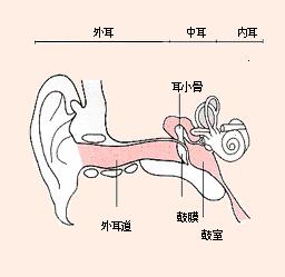 傳染病源性耳聾