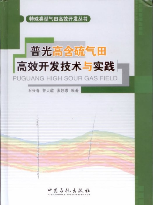 普光高含硫氣田高效開發技術與實踐