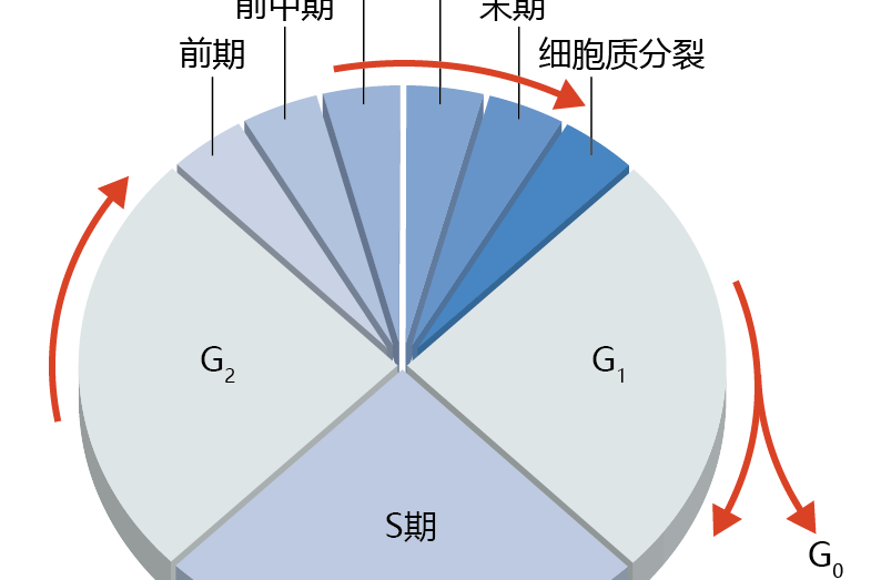 末期(生物學名詞)