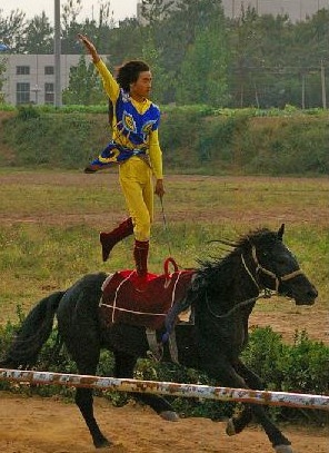 馬戲遊樂園