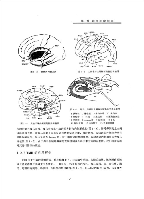 梨狀葉