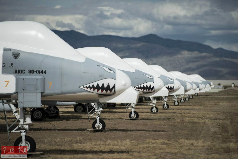 世界最大軍用飛機墓地