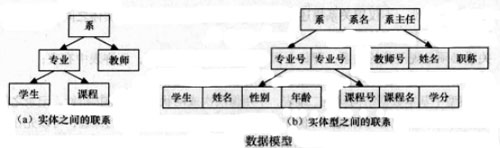 可選數據關係