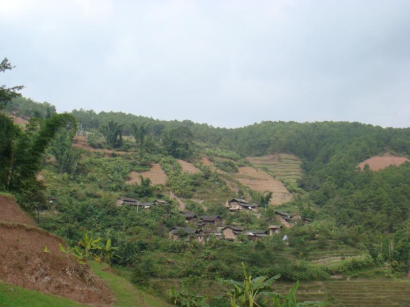 村莊全景