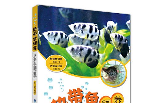 熱帶魚飼養從新手到高手熱帶魚飼養