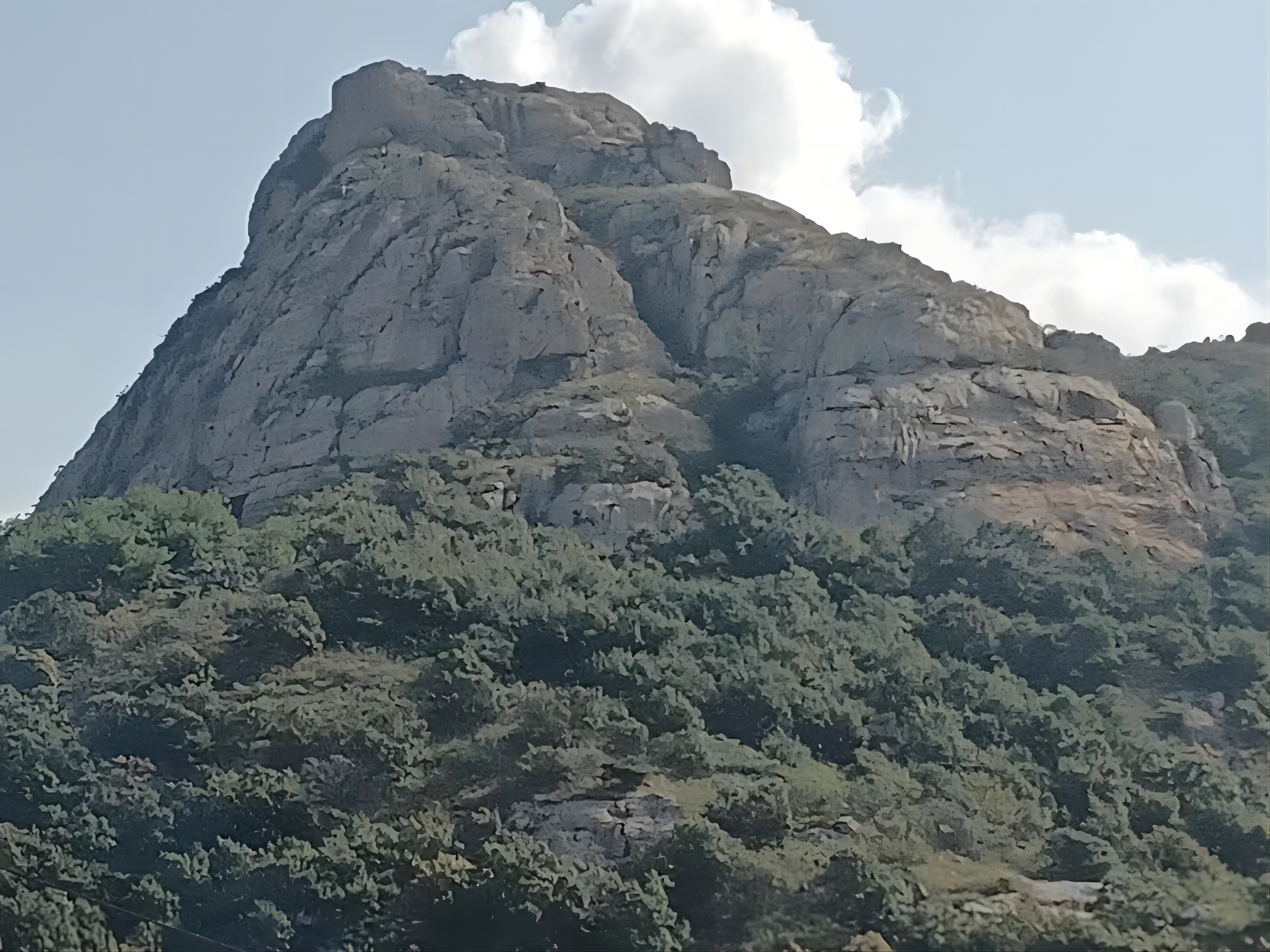 到根見村